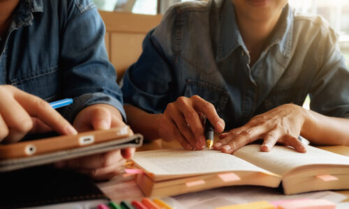 A Ação da Inspeção Escolar nas Redes de Ensino