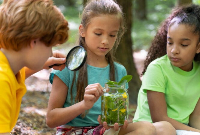 Metodologia e Prática do Ensino das Ciências Naturais