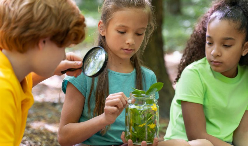Metodologia e Prática do Ensino das Ciências Naturais