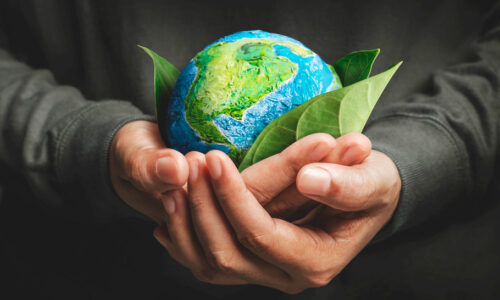 O Meio Ambiente na Atualidade