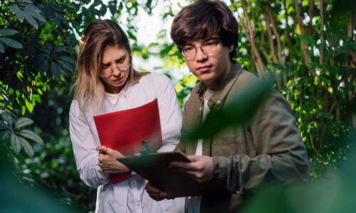 Projetos de Preservação Ambiental: Estudos