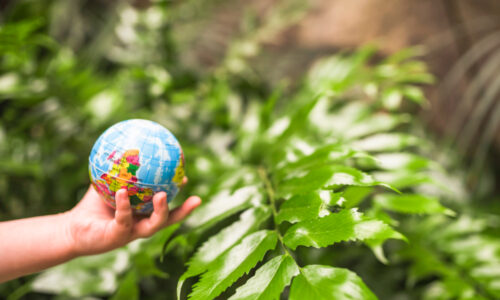 Meio Ambiente e Sustentabilidade