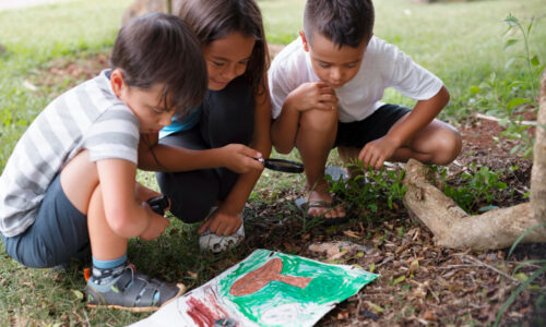 Práticas Educativas de Sustentabilidade