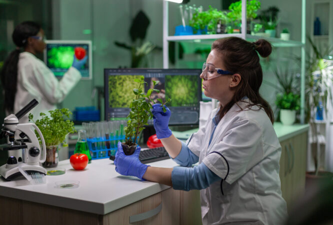 Biologia-e-Educacao-Ambiental-scaled