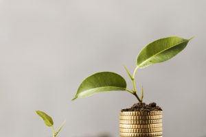 ECONOMIA
