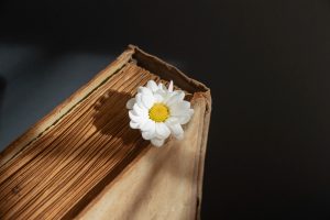 Filosofia da Educação 20