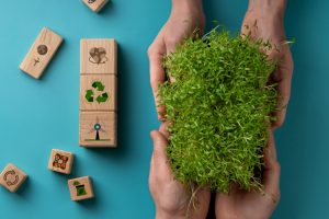 Meio Ambiente e Sustentabilidade 20