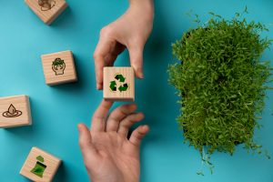 praticas educativas de sustentabilidade 20